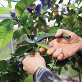 Silverline 245027 Bypass Secateurs - 200mm - Voyto Ltd Online