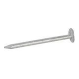 Fixman 479176 Clout Nail 1kg - 50 x 3.35mm - Voyto Ltd Online