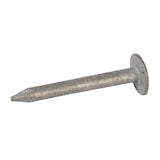 Fixman 748701 Extra-Large Head Clout Nail 1kg - 30 x 3mm - Voyto Ltd Online