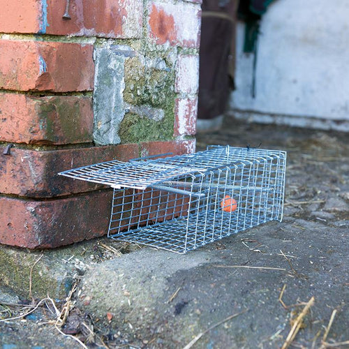 Fixman 196052 Rat Cage Trap - 300 x 150 x 130mm - Voyto Ltd Online