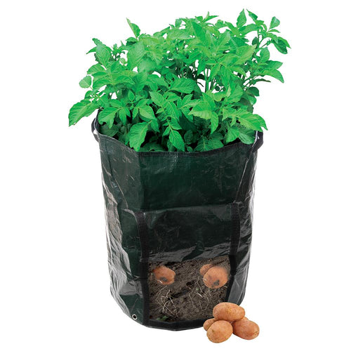 Silverline 261137 Potato Planting Bag - 360 x 510mm - Voyto Ltd Online